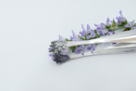 Verzilverde Suikertang - Adolphe Boulenger, Parijs -  c. 1900