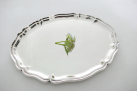 Wilkens - Large silver serving Tray - .835 silver - Germany, 1980-2000