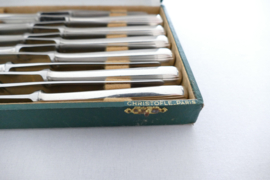 Christofle - Boreal - Cassette met 12 Dessertmessen - ontwerp Luc Lanel