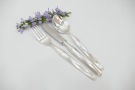 Verzilverde bestekset - 19-delig/6-persoons - Bergisch, Solingen 100 - Duitsland, jaren 1960