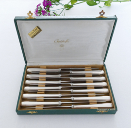 Christofle - Boreal - Cassette met 12 Dessertmessen - ontwerp Luc Lanel