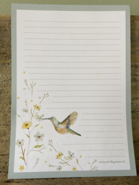 Notitieboek - Kolibrie