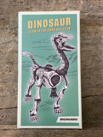 Dino - Glow in the dark bouwset - Brachiosaurus
