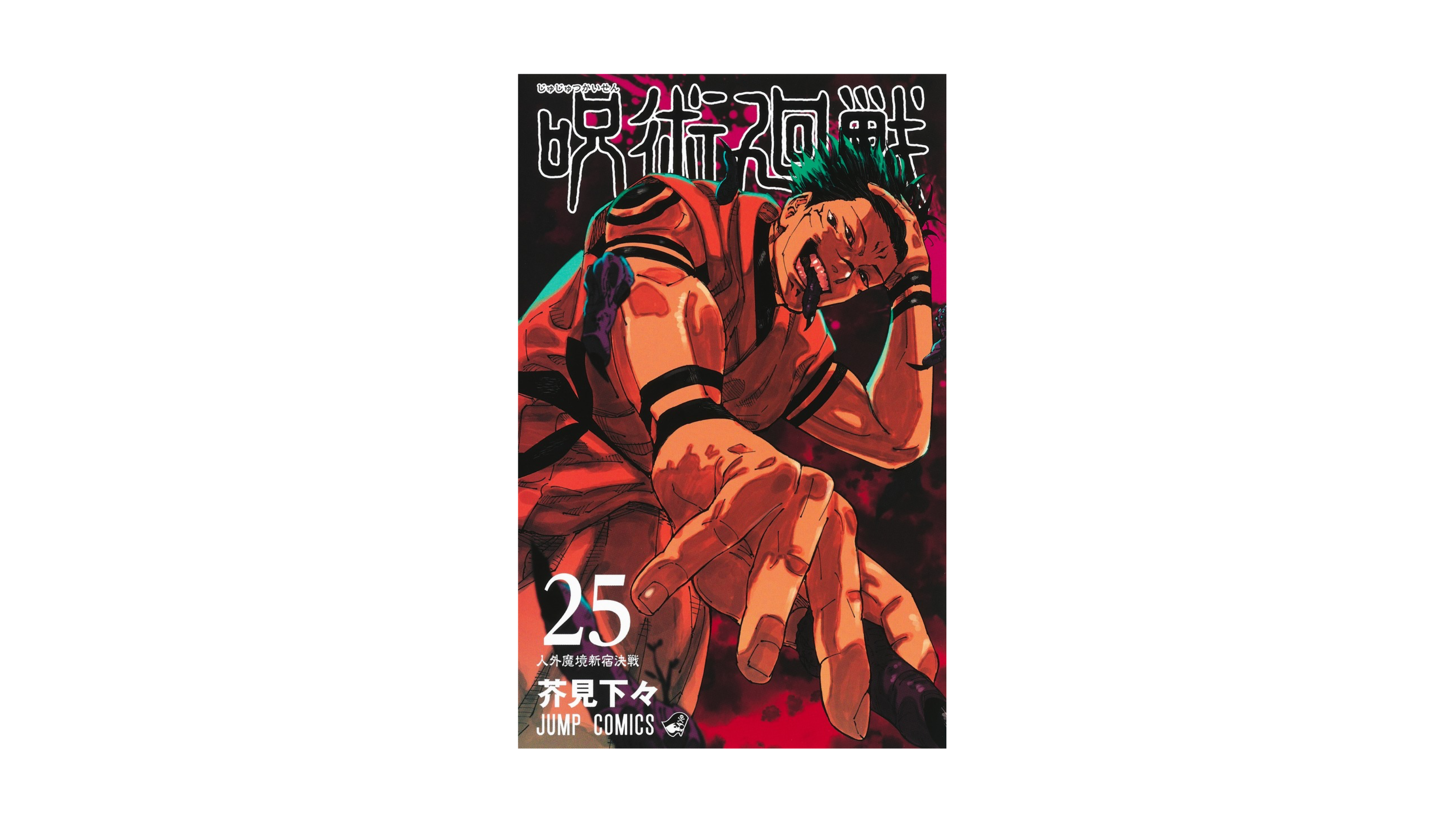 Jujustu Kaisen 呪術廻戦 25