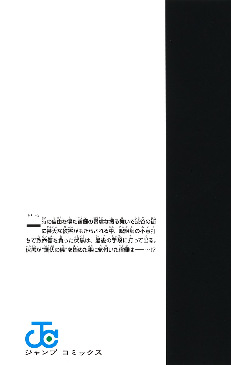 Jujustu Kaisen 呪術廻戦 14