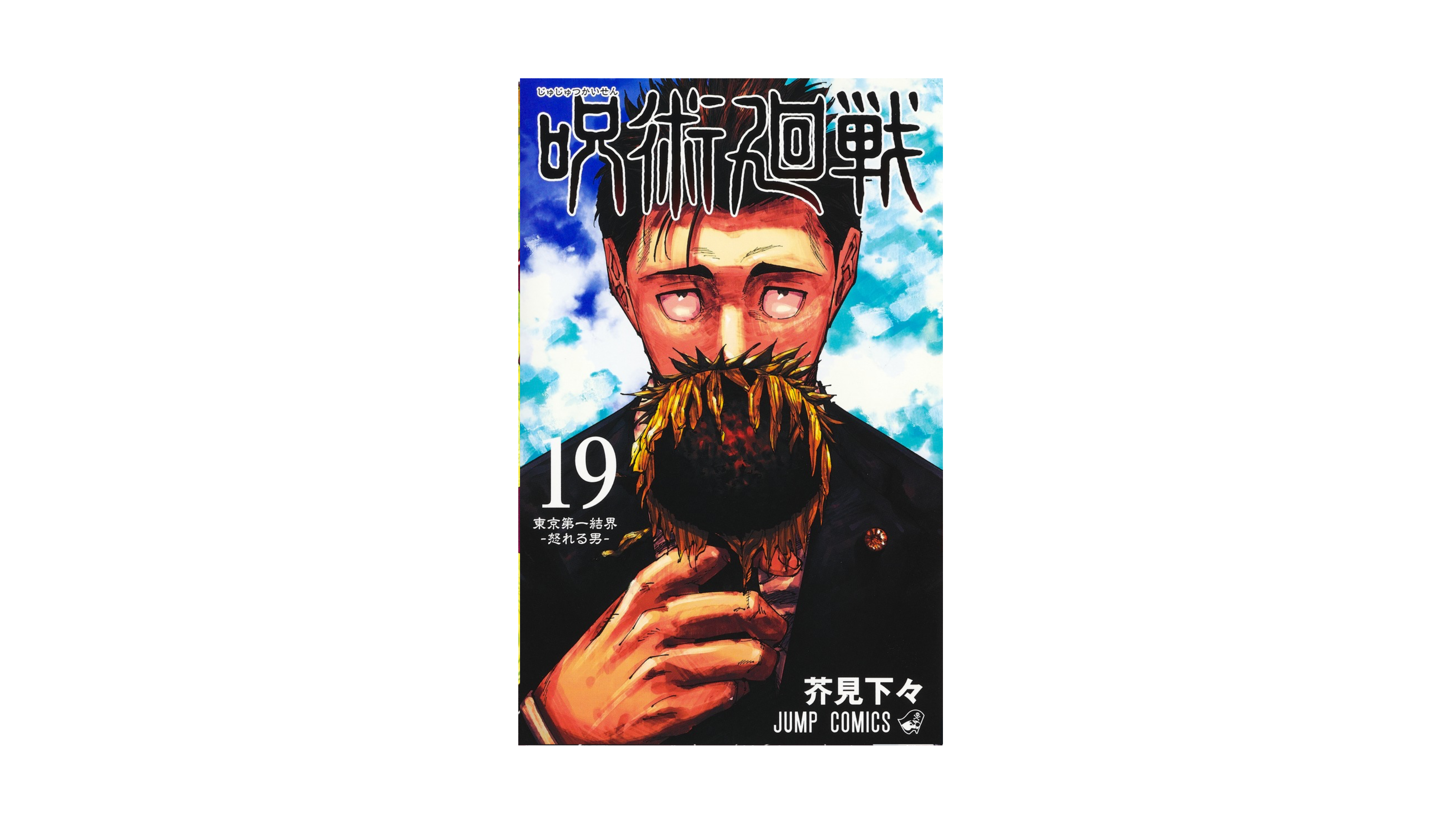 Jujustu Kaisen 呪術廻戦 19