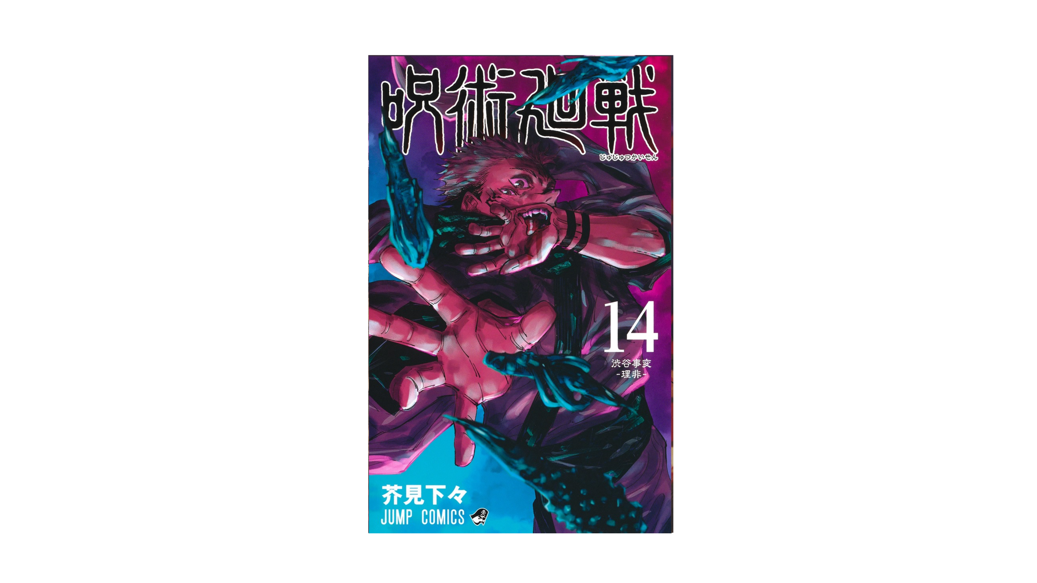 Jujustu Kaisen 呪術廻戦 14