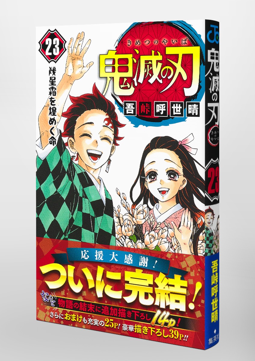 Demon Slayer 鬼滅の刃 23