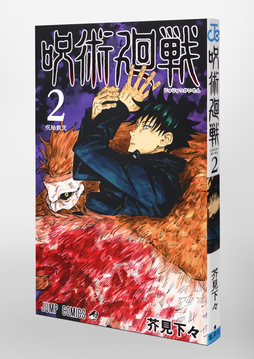 Jujustu Kaisen 呪術廻戦 2