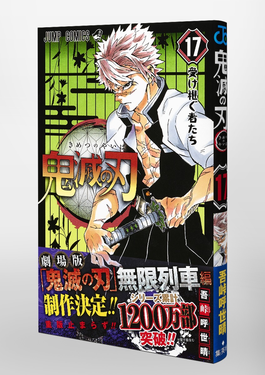 Demon Slayer 鬼滅の刃 17
