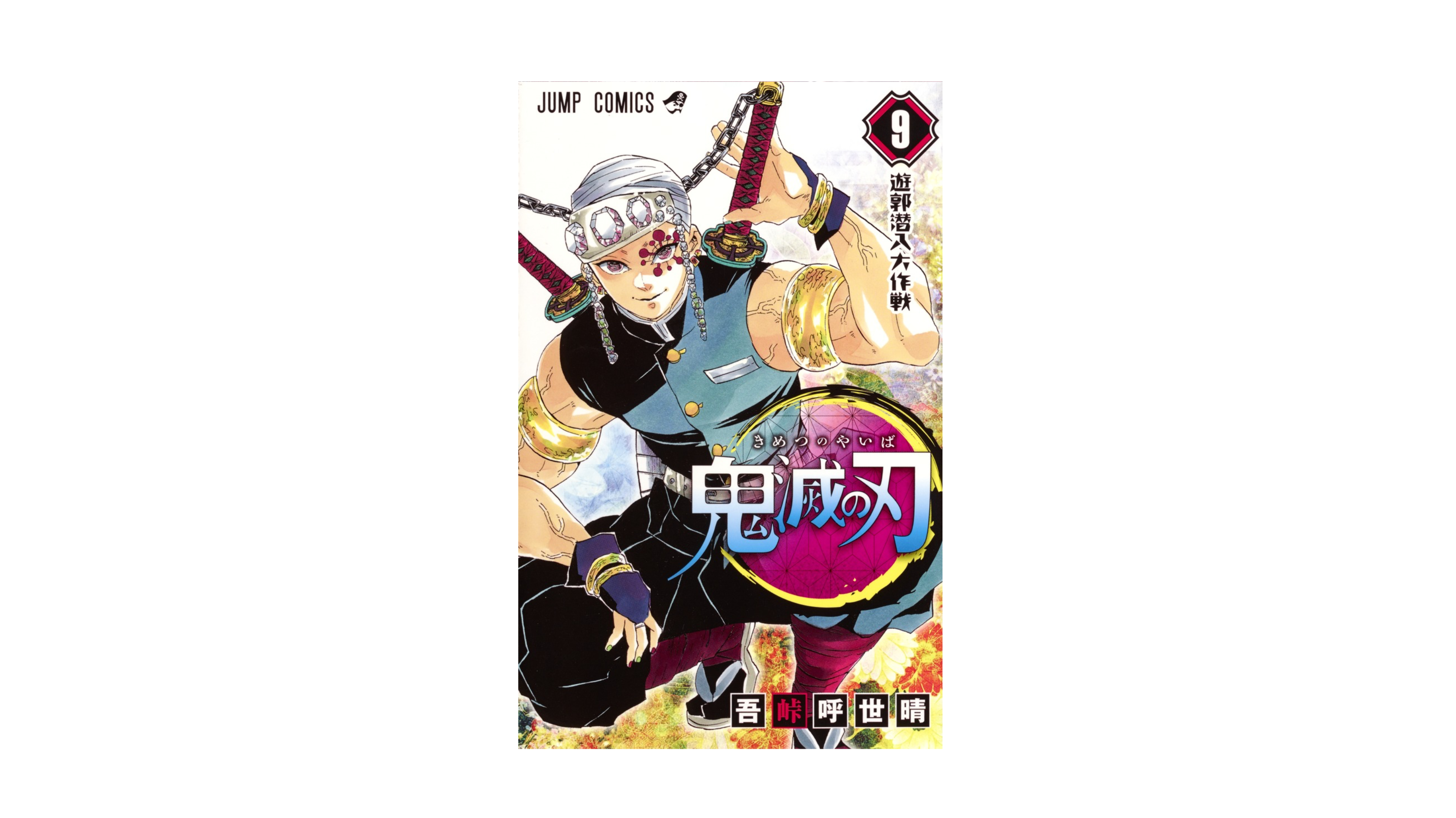 Demon Slayer 鬼滅の刃 9