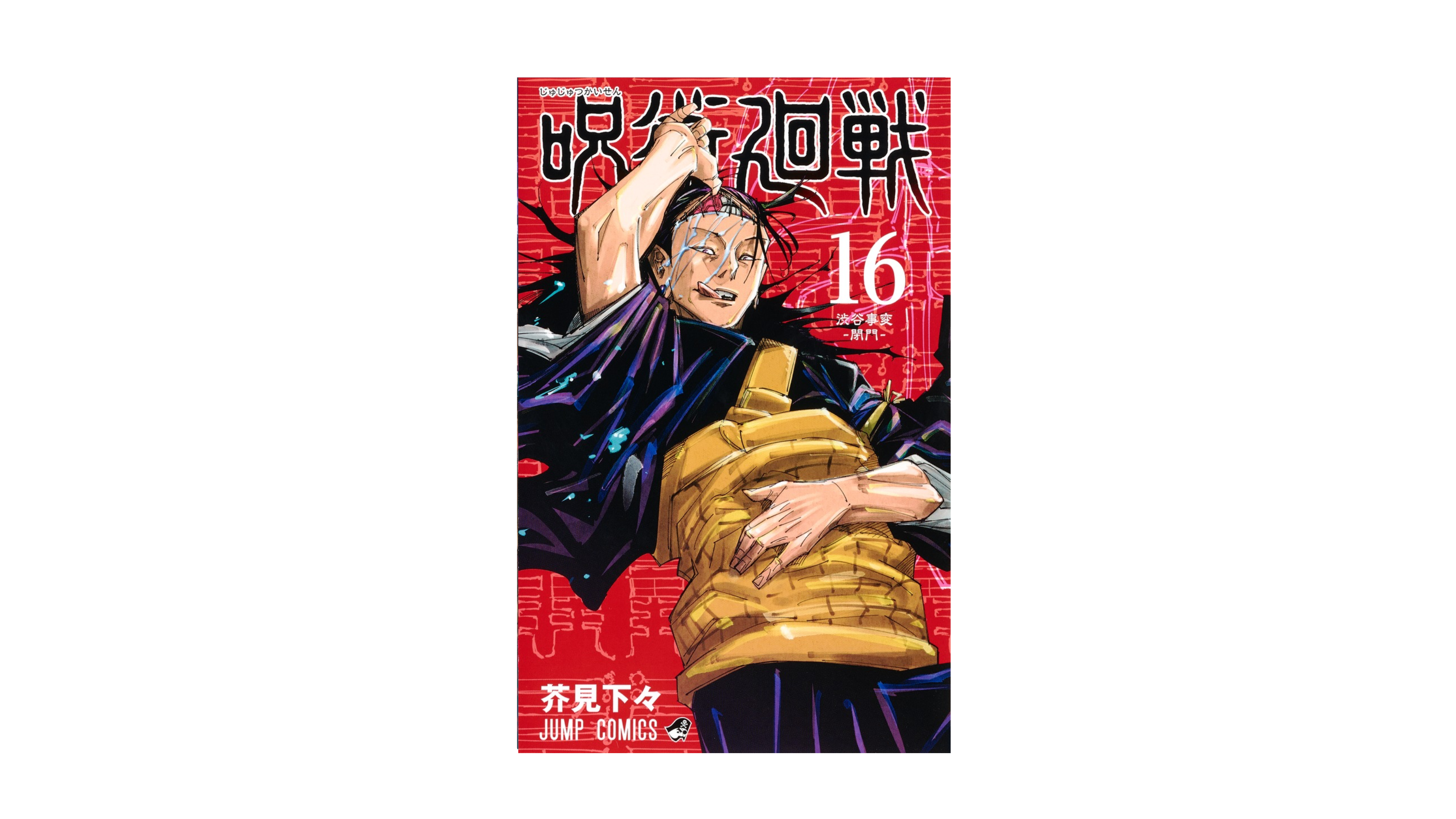 Jujustu Kaisen 呪術廻戦 16