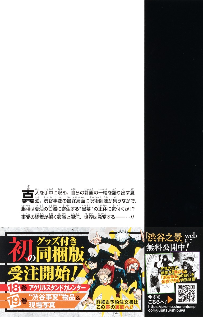 Jujustu Kaisen 呪術廻戦 16
