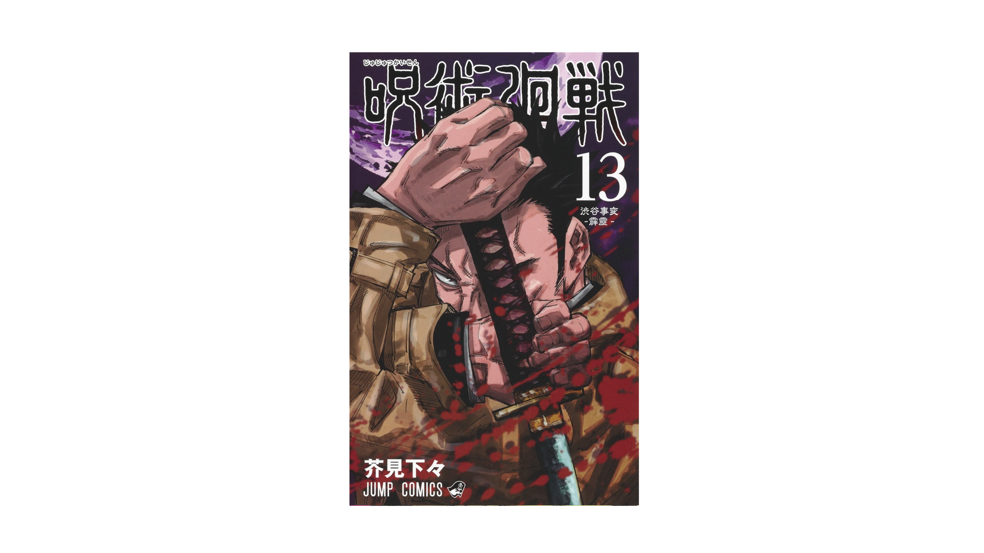 Jujustu Kaisen 呪術廻戦 13