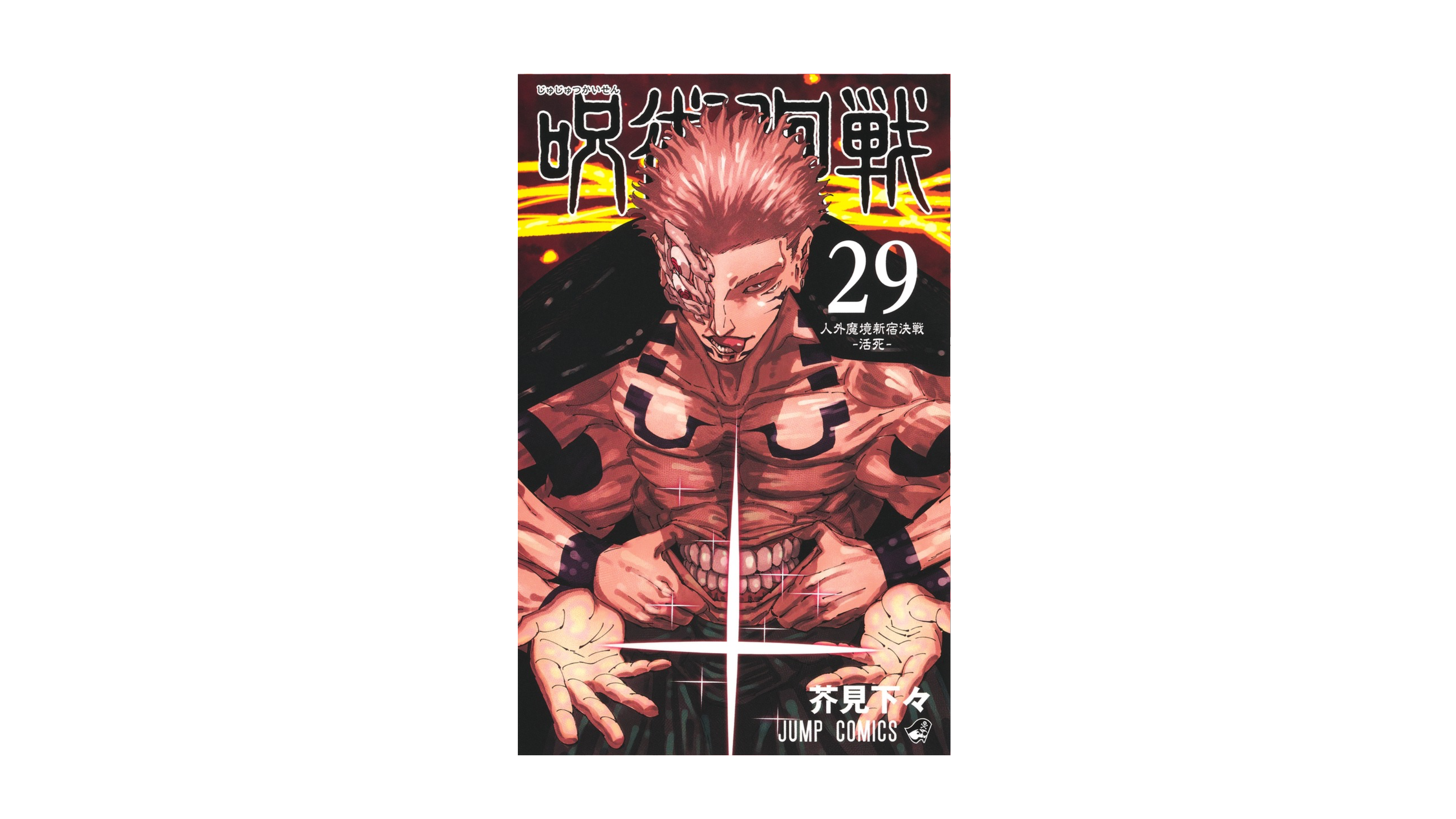 Jujustu Kaisen 呪術廻戦 29