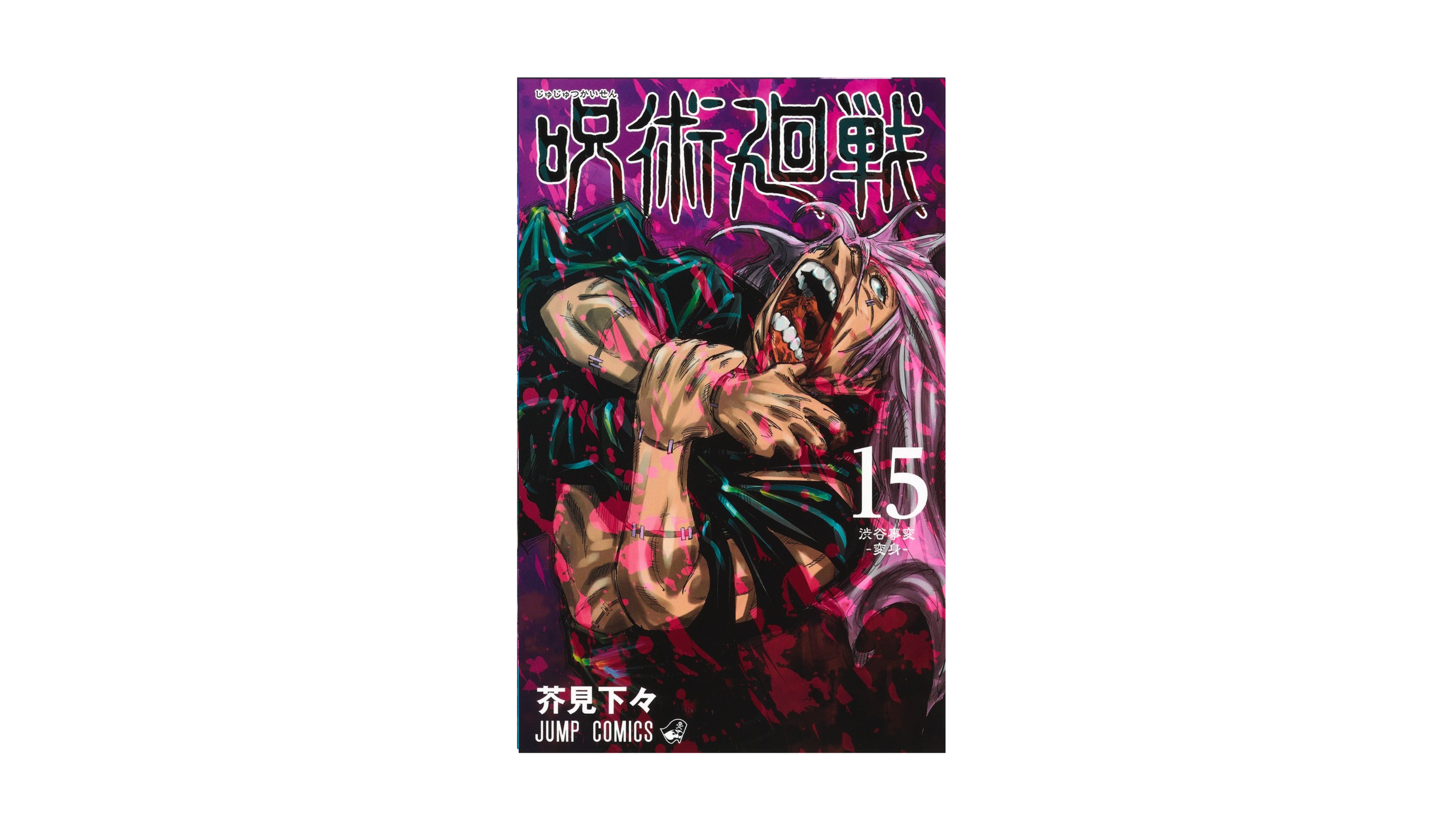Jujustu Kaisen 呪術廻戦 15