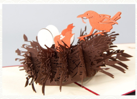 3D Pop-up Wenskaart: Nestje met Vogeltjes