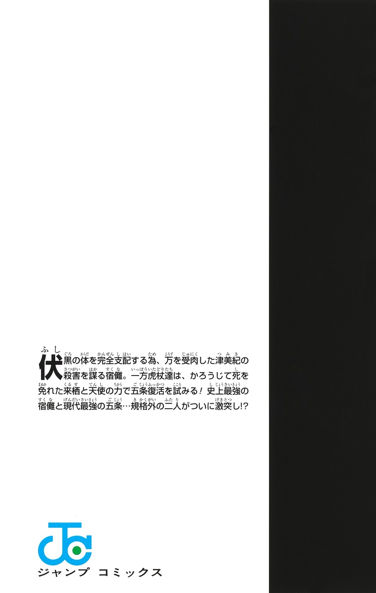 Jujustu Kaisen 呪術廻戦 25