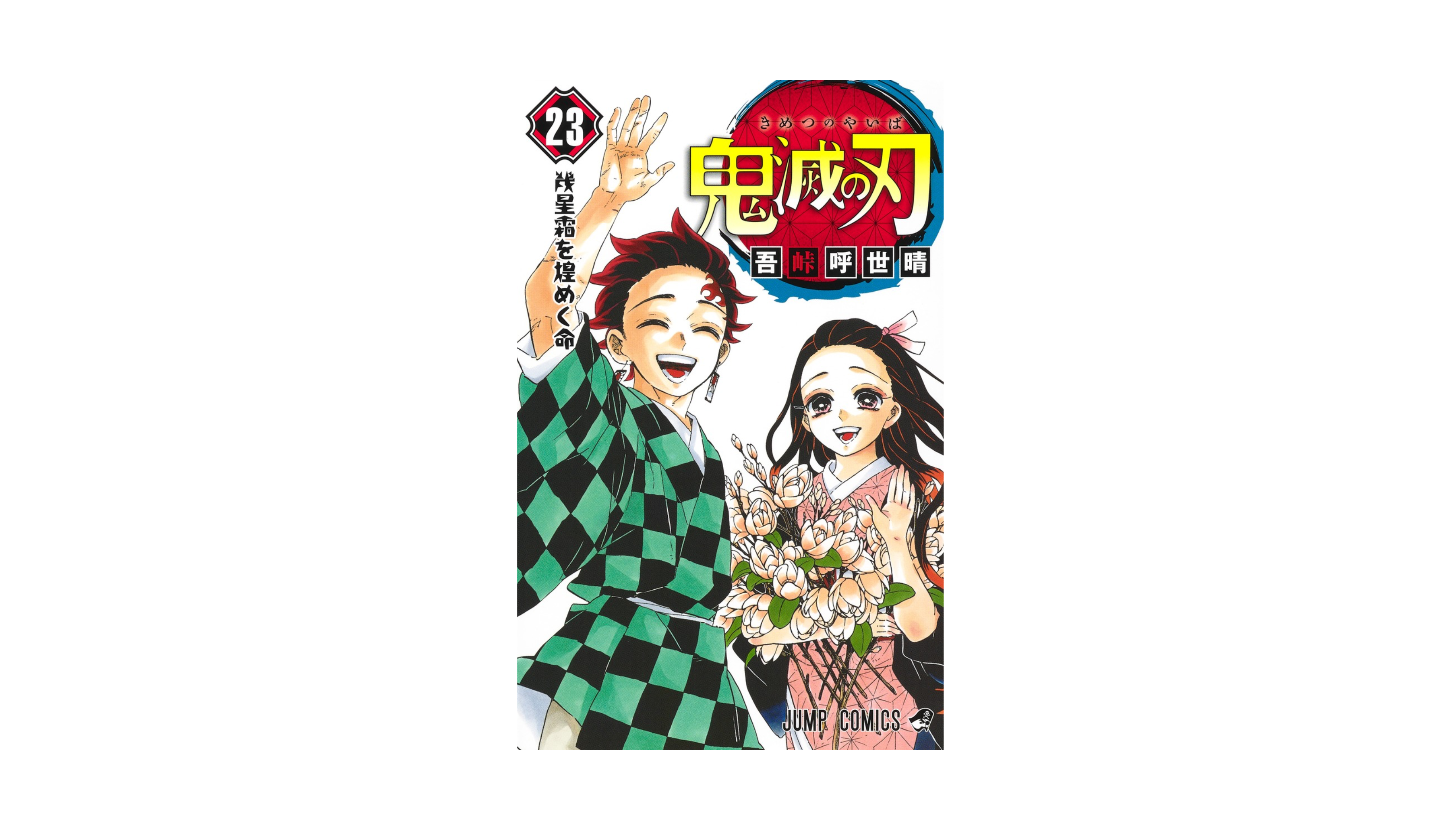 Demon Slayer 鬼滅の刃 23