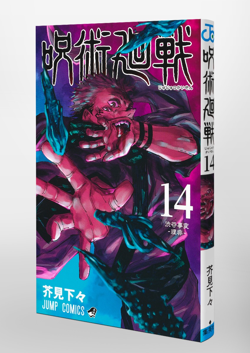 Jujustu Kaisen 呪術廻戦 14