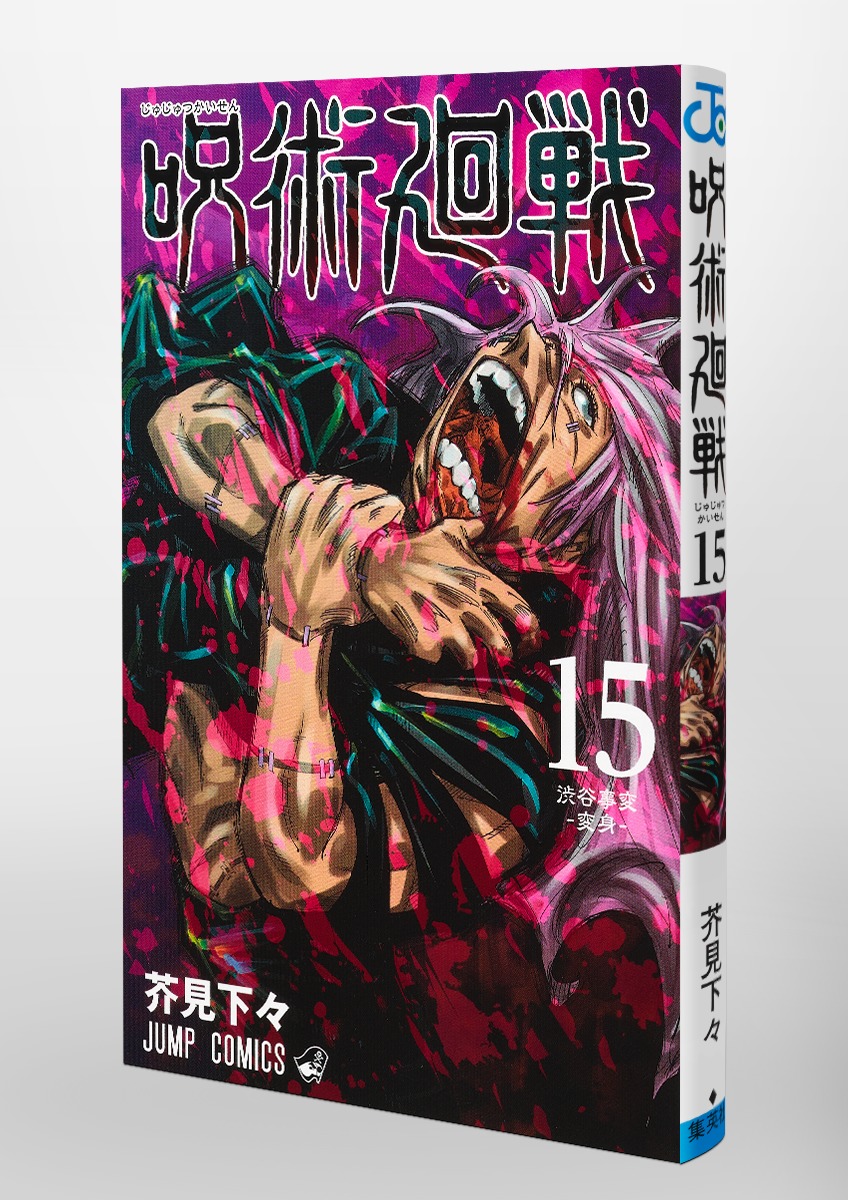Jujustu Kaisen 呪術廻戦 15
