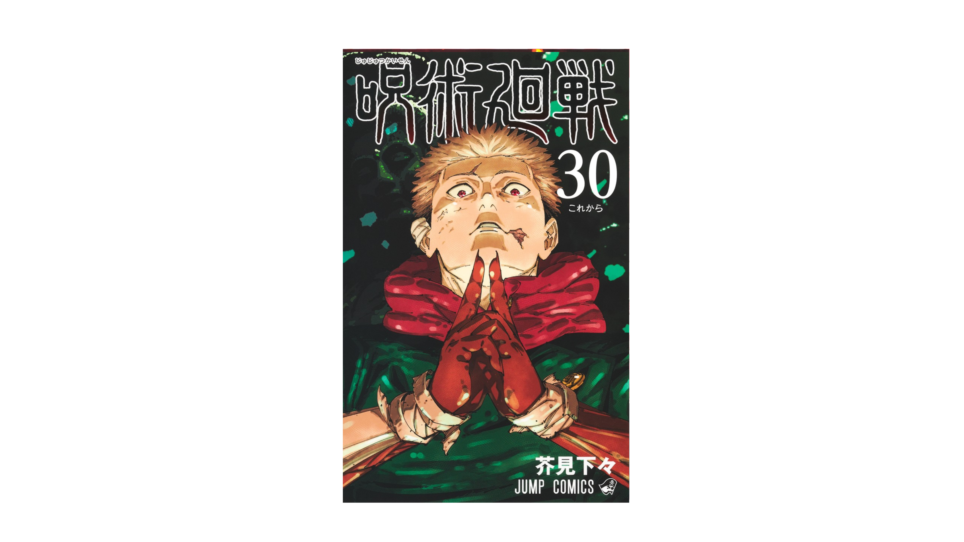 Jujustu Kaisen 呪術廻戦 30