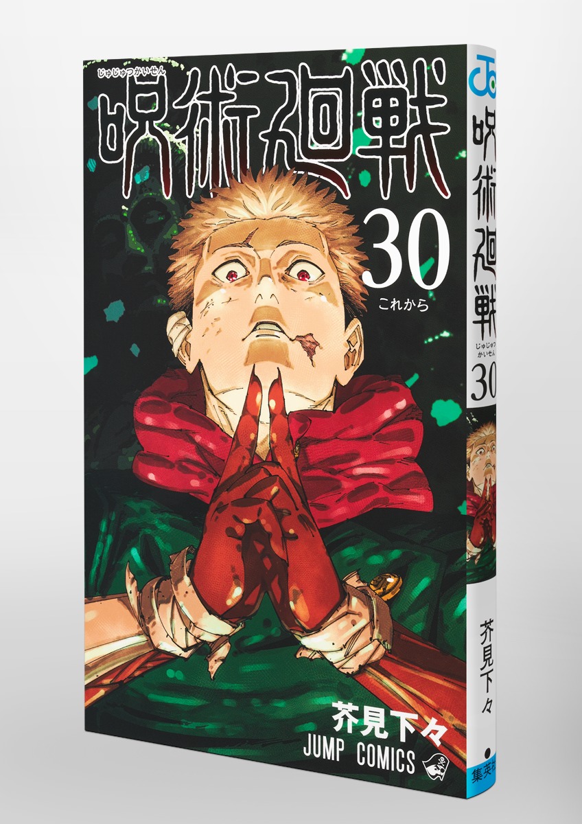 Jujustu Kaisen 呪術廻戦 30
