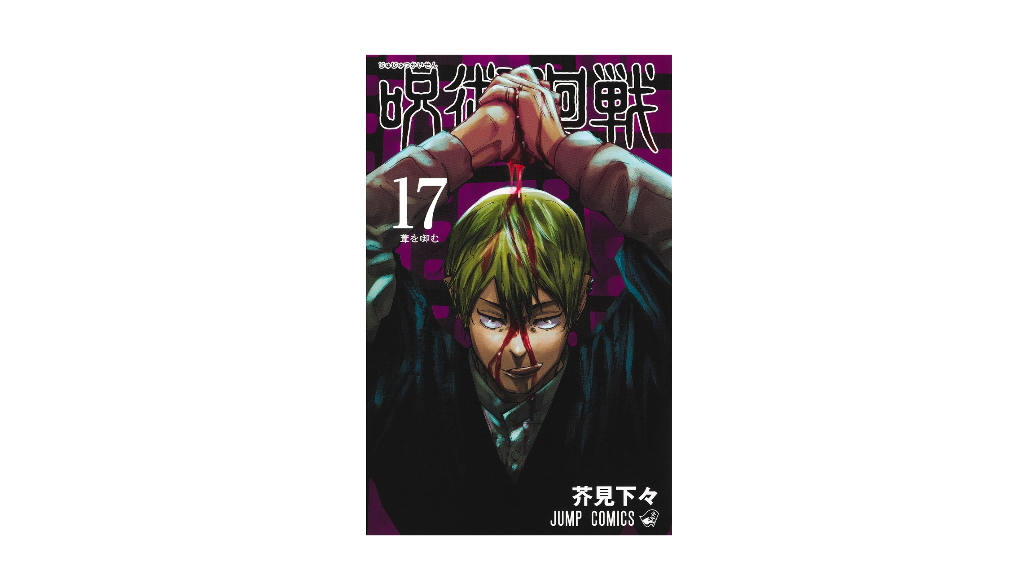 Jujustu Kaisen 呪術廻戦 17