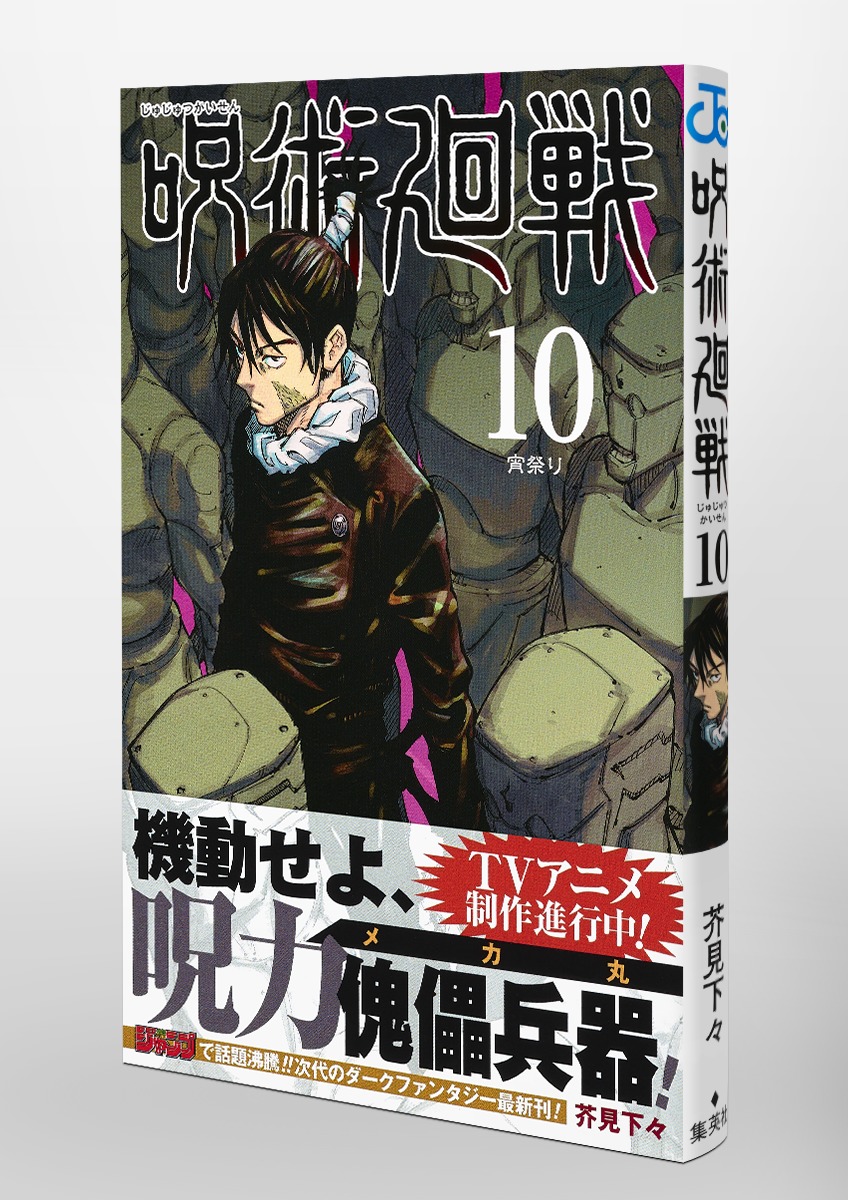 Jujustu Kaisen 呪術廻戦 10