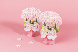 3D Pop-up wenskaart met kersenbloesems en katten