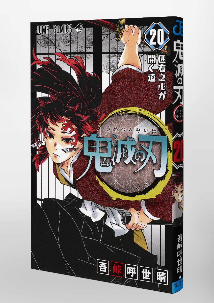 Demon Slayer 鬼滅の刃 20
