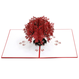 3D Pop-up Wenskaart: Rode Esdoornboom