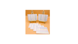 QUARTET SET 2: TEXTBOOK 2 + WORKBOOK 2 - INTERMEDIATE JAPANESE ACROSS THE FOUR LANGUAGE SKILLS