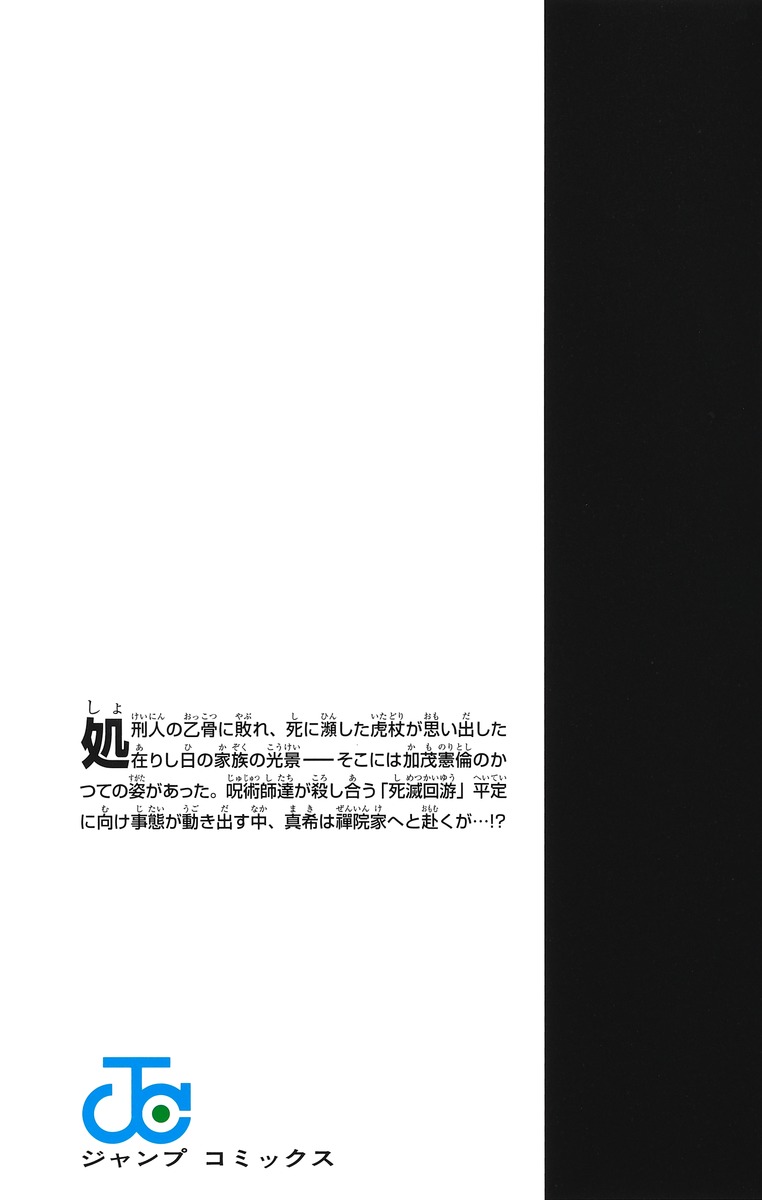 Jujustu Kaisen 呪術廻戦 17