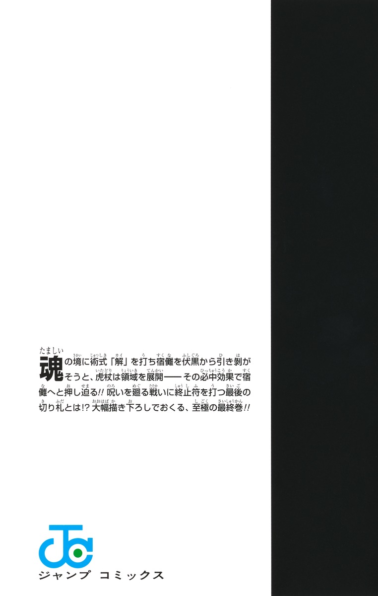 Jujustu Kaisen 呪術廻戦 30