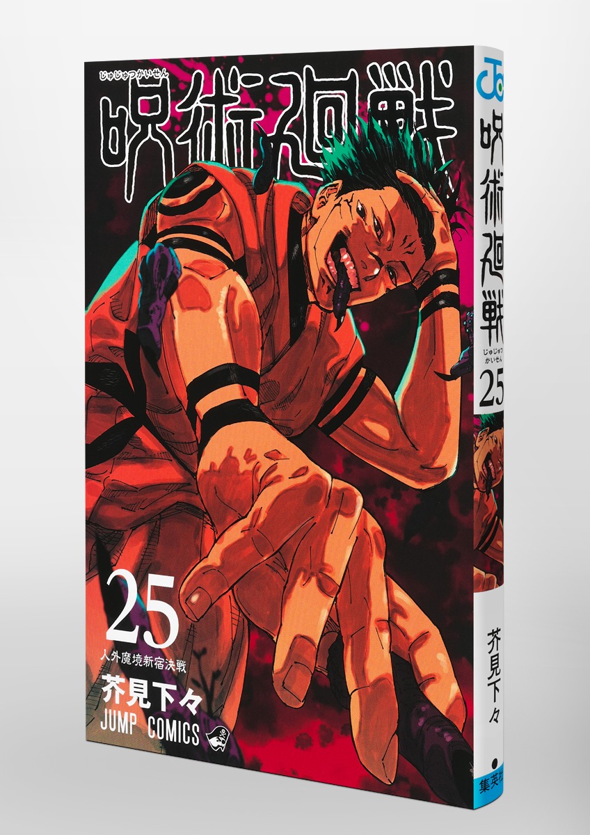 Jujustu Kaisen 呪術廻戦 25