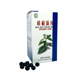 Gui Zhi Tang Wan - Cinnamon Form - 桂枝汤丸