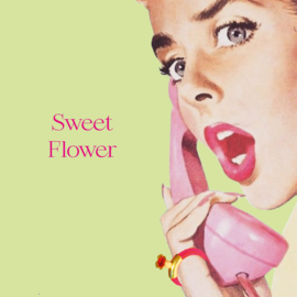 Bling Ring Lily 'Sweet Flower' Art: 0096