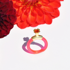 Bling Ring Lily 'Sweet Flower' Art: 0096