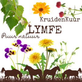Lymfe Kruidenkuur
