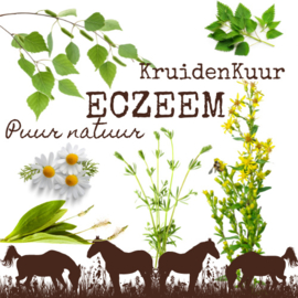 Eczeem Kruidenkuur