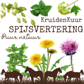 Spijsvertering Kruidenkuur