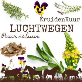 Luchtwegen Kruidenkuur