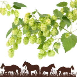 Hopbellen