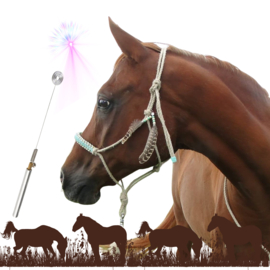 Meting uitgebreid welzijn paard
