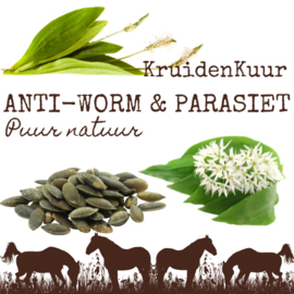 Anti worm & parasiet Kruidenkuur