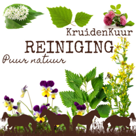 Reiniging Kruidenkuur