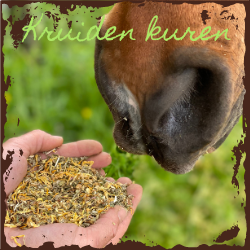 Kruiden kuren voor paarden
