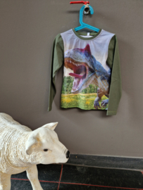 Shirt dino, maat 122