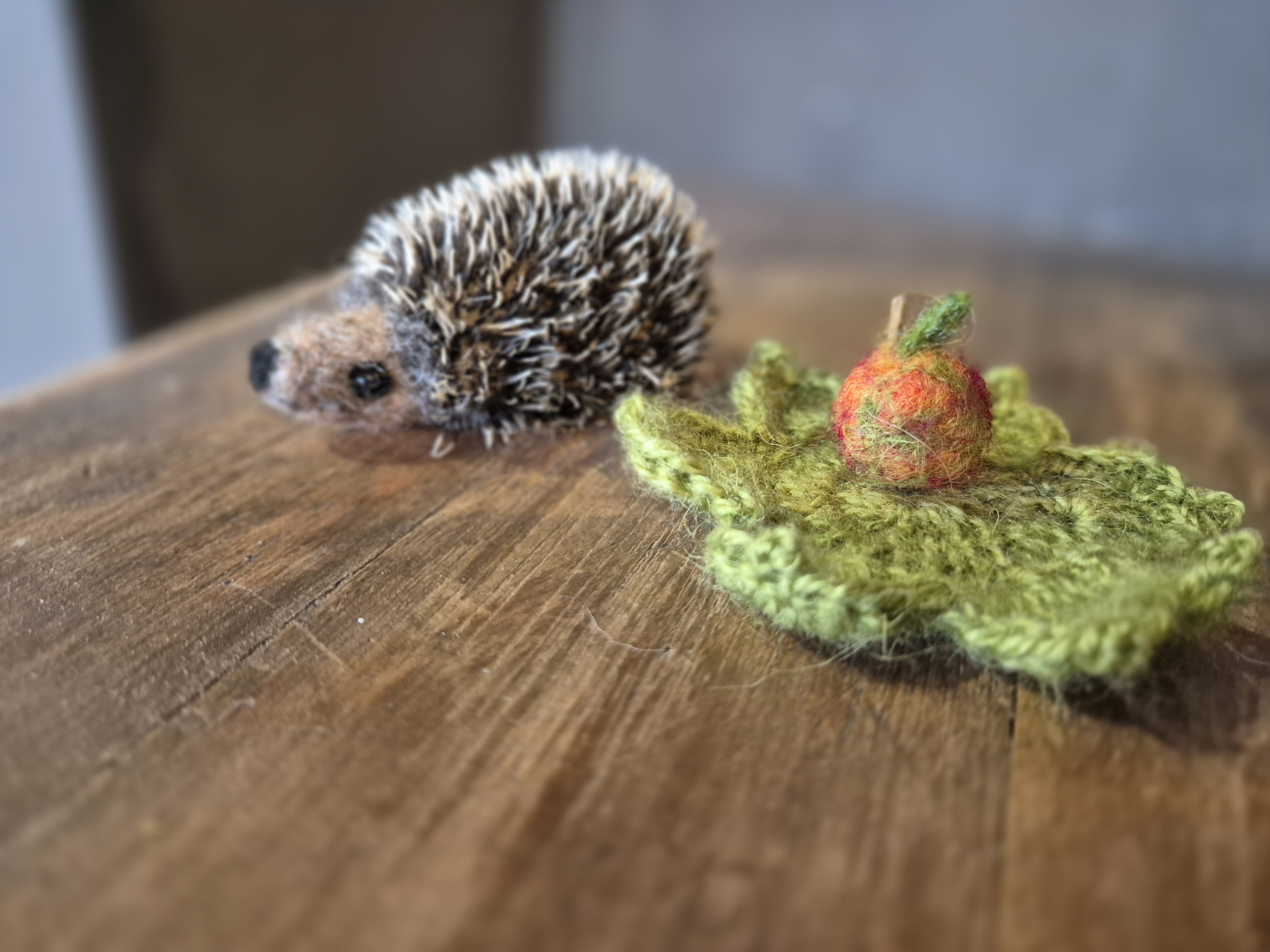 Egel op mohair blad met appeltje